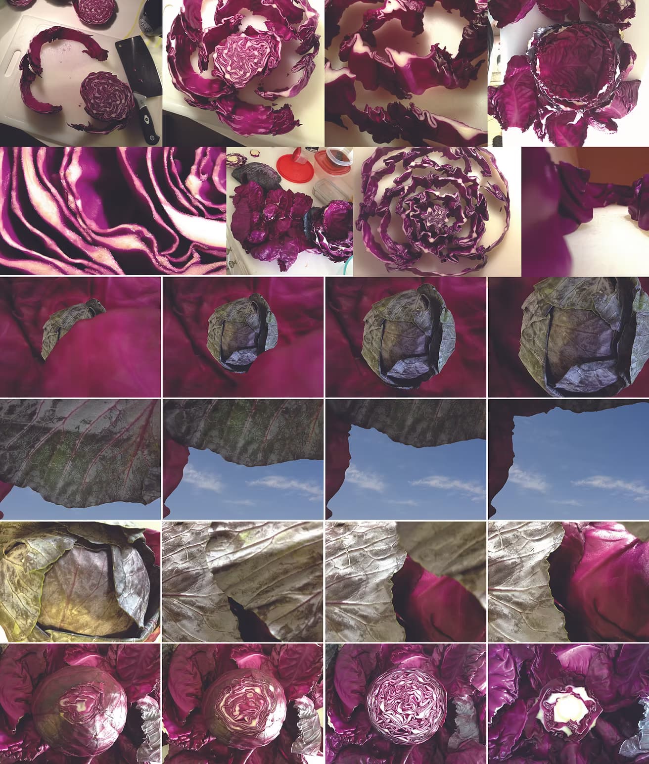 Food and Space — exploring micro-worlds in food